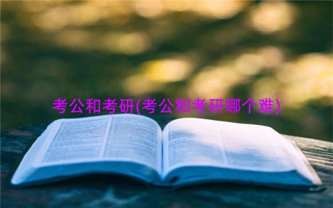 考公和考研(考公和考研哪个难)