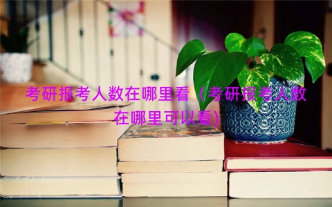 考研报考人数在哪里看（考研报考人数在哪里可以看)