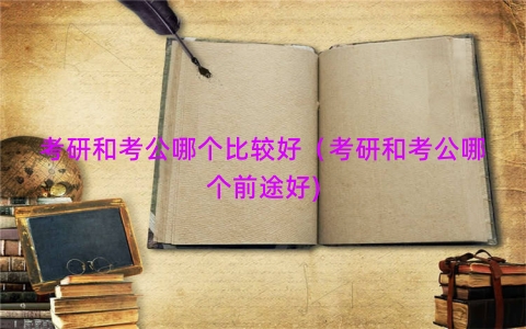 考研和考公哪个比较好（考研和考公哪个前途好)