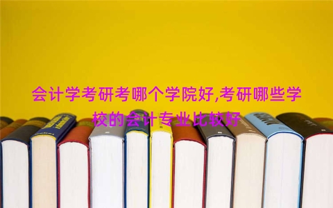 会计学考研考哪个学院好,考研哪些学校的会计专业比较好