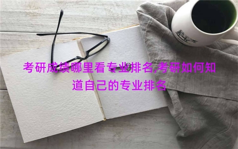 考研成绩哪里看专业排名,考研如何知道自己的专业排名