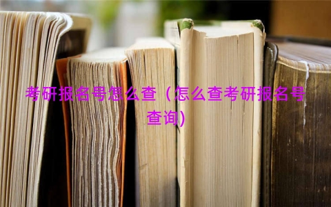考研报名号怎么查（怎么查考研报名号查询)