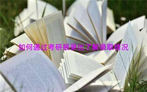 如何通过考研报录比了解录取情况