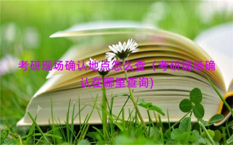 考研现场确认地点怎么查（考研现场确认在哪里查询)